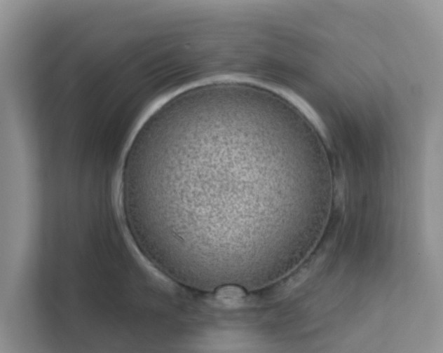 X0000111640911200907241108