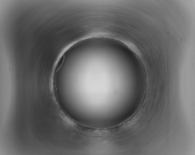 X0000111640912200907241108