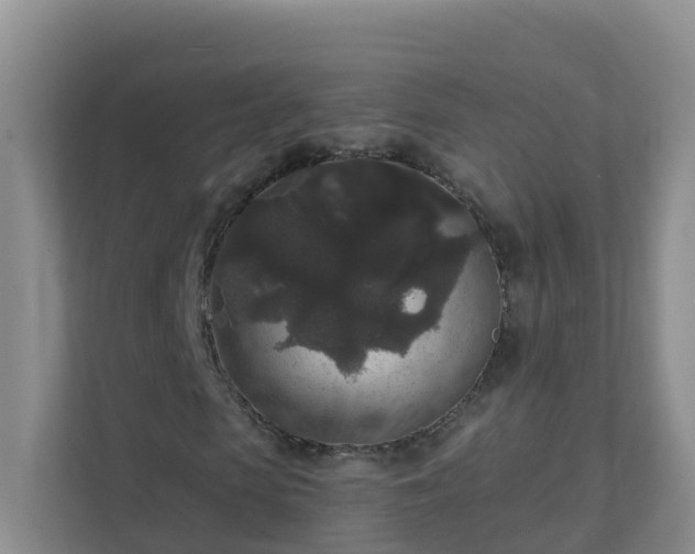 X0000111640913200907241108