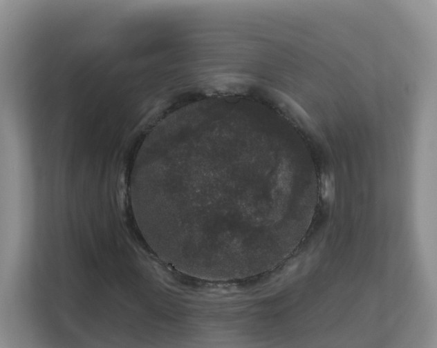 X0000111640915200907241108