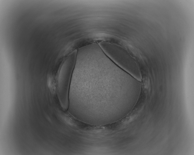 X0000111640916200907241108