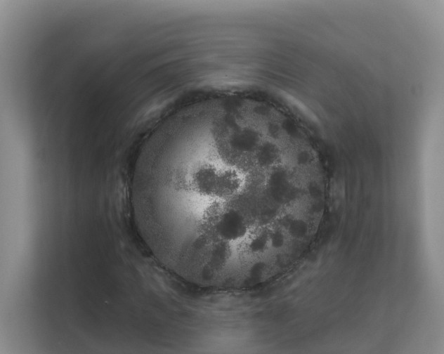 X0000111640917200907241108