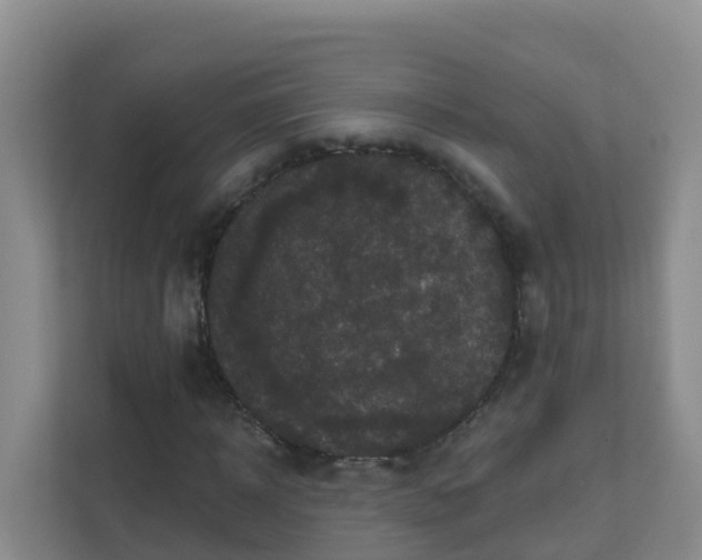 X0000111640918200907241108