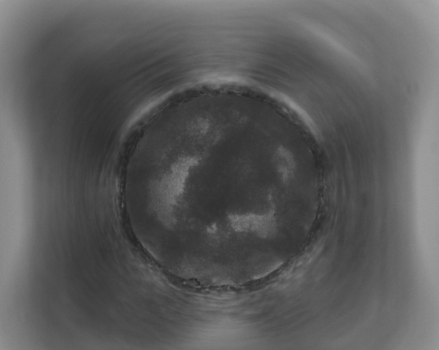 X0000111640919200907241108