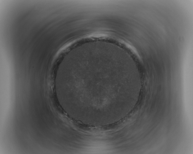 X0000111640920200907241108