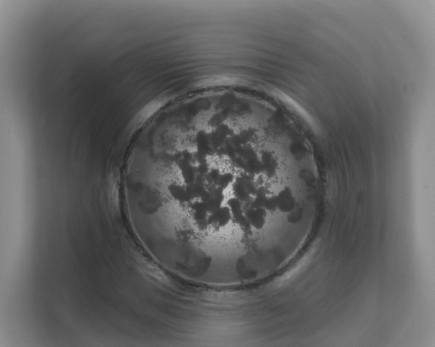 X0000111640921200907241108