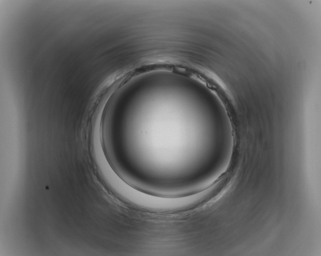 X0000111640922200907241108