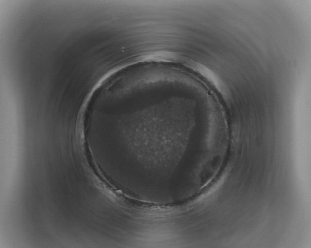 X0000111640923200907241108