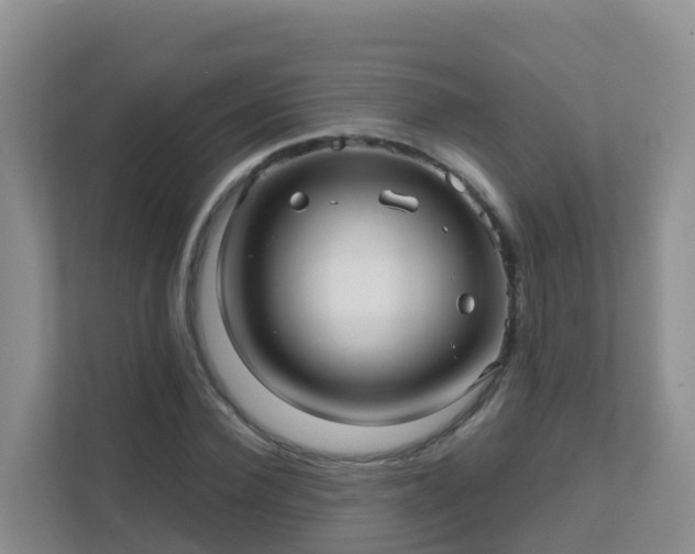 X0000111640924200907241108