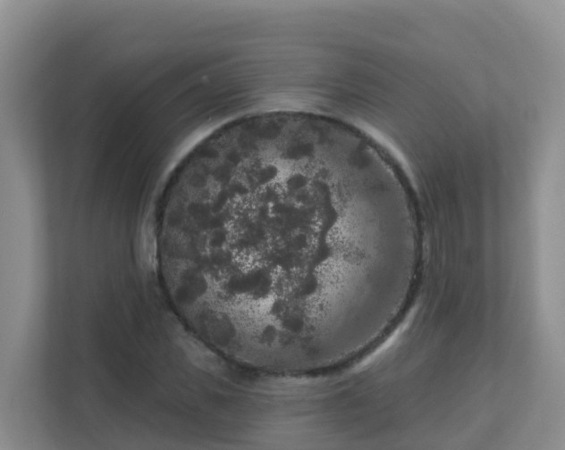 X0000111640925200907241108