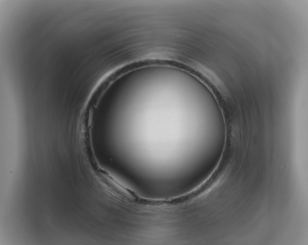 X0000111640926200907241108