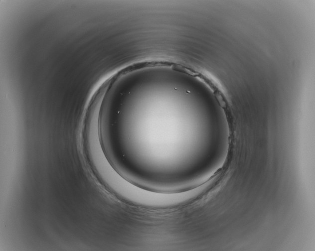 X0000111640928200907241108