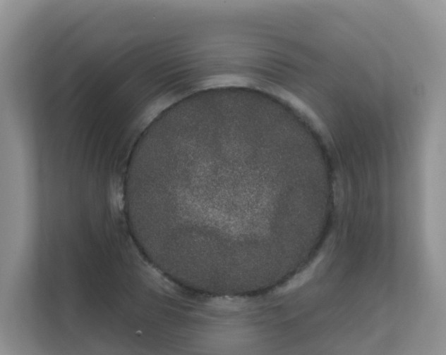 X0000111640929200907241108