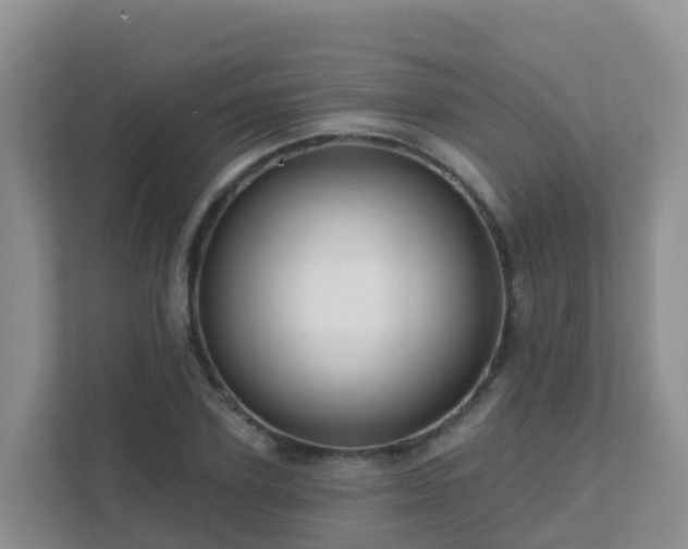 X0000111640931200907241108