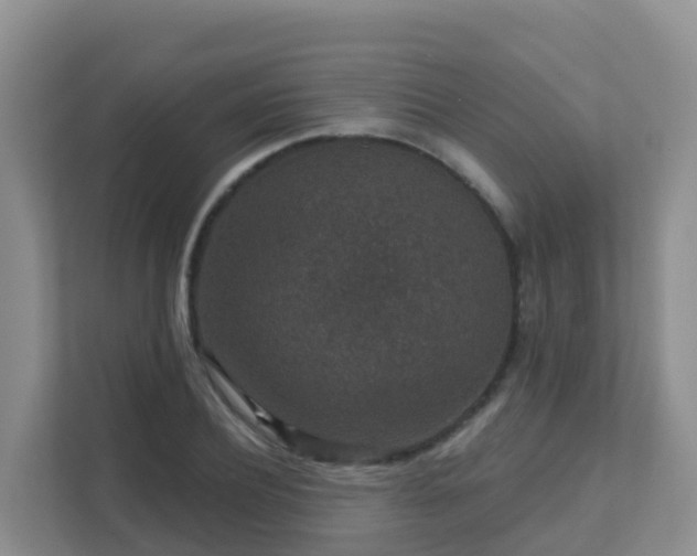 X0000111640932200907241108