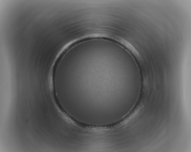 X0000111640934200907241108