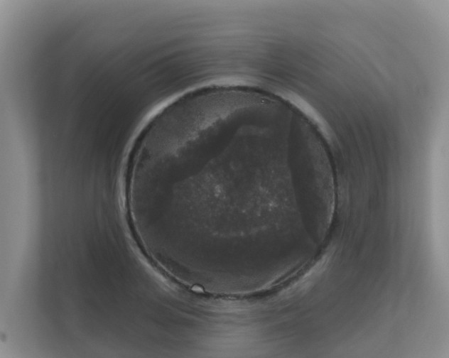 X0000111640935200907241108