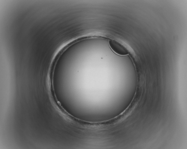 X0000111640936200907241108