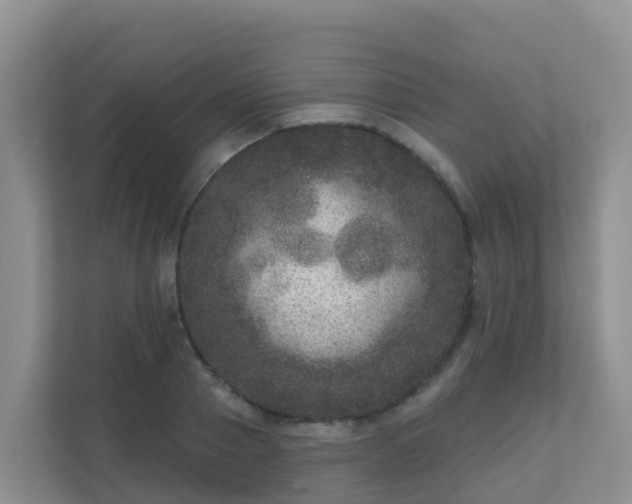 X0000111640937200907241108