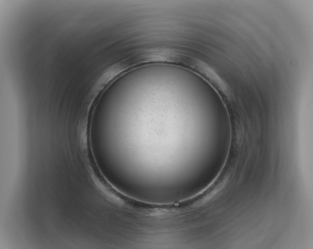 X0000111640938200907241108