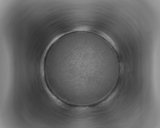 X0000111640939200907241108