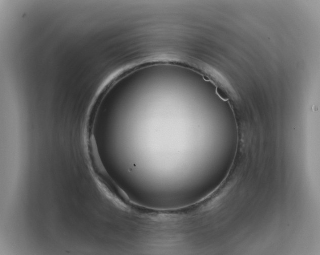 X0000111640942200907241108