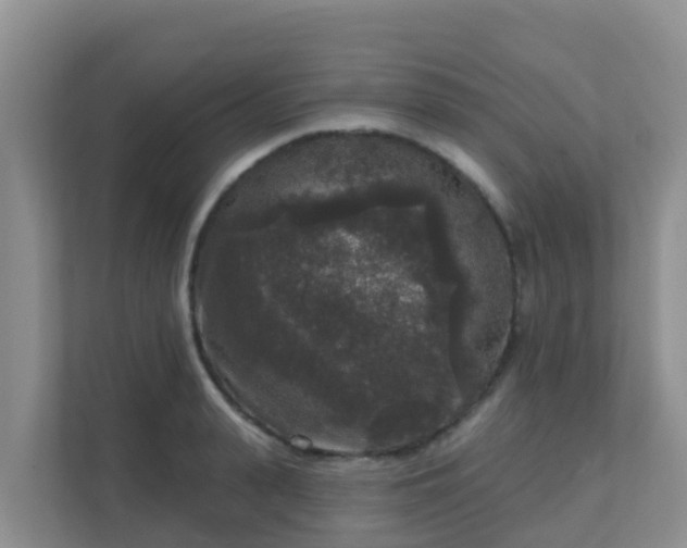 X0000111640943200907241108