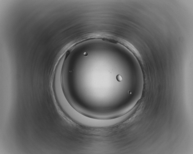 X0000111640946200907241108