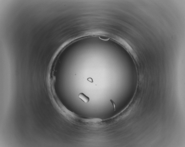 X0000111640947200907241108