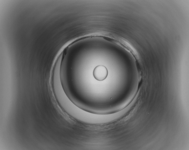 X0000111640948200907241108