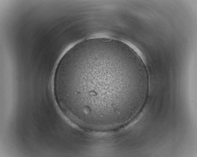 X0000111640949200907241108