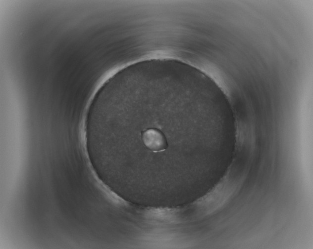 X0000111640950200907241108