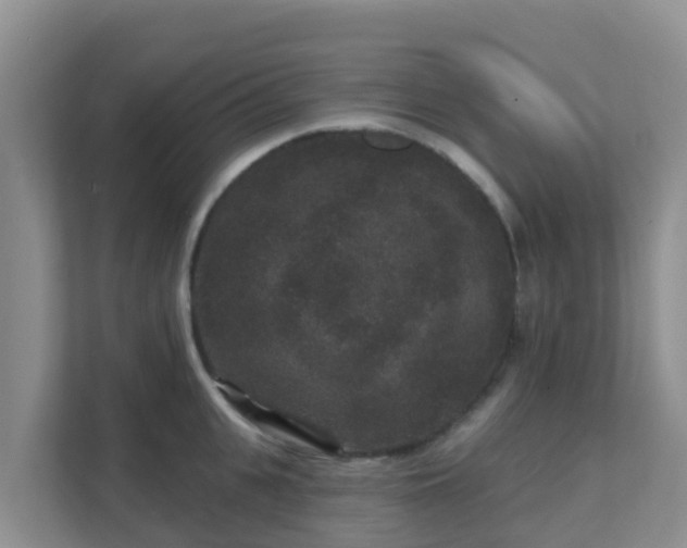 X0000111640951200907241108