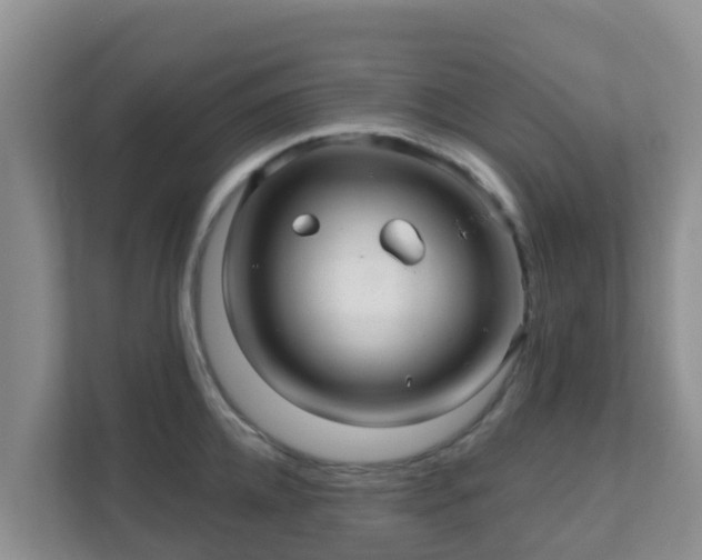 X0000111640952200907241108