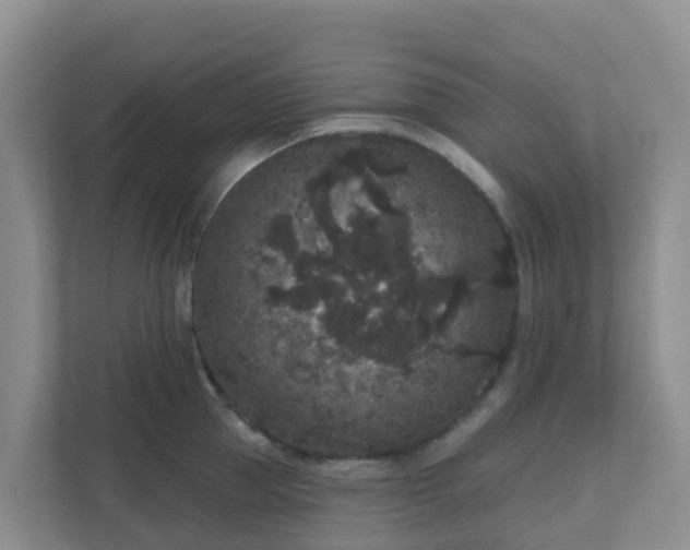 X0000111640953200907241108