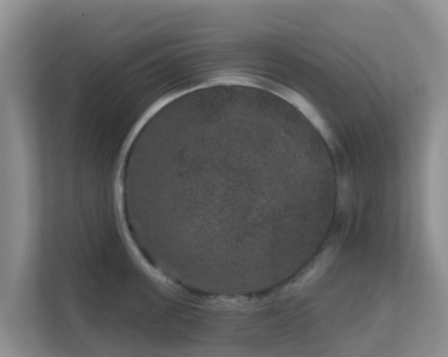 X0000111640955200907241108