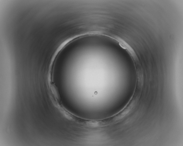 X0000111640956200907241108