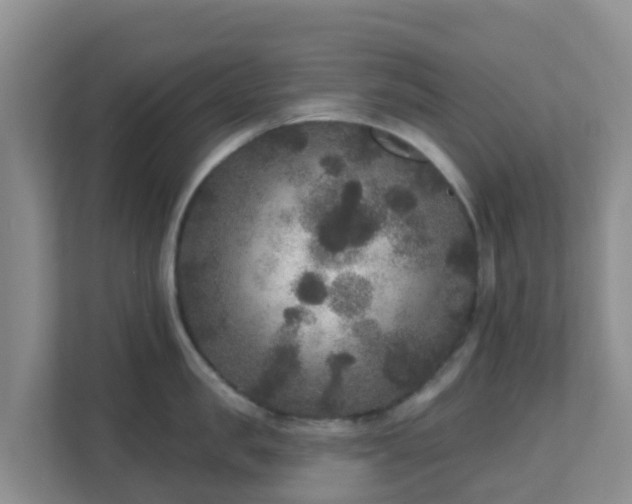 X0000111640957200907241108