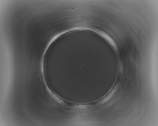 X0000111640958200907241108