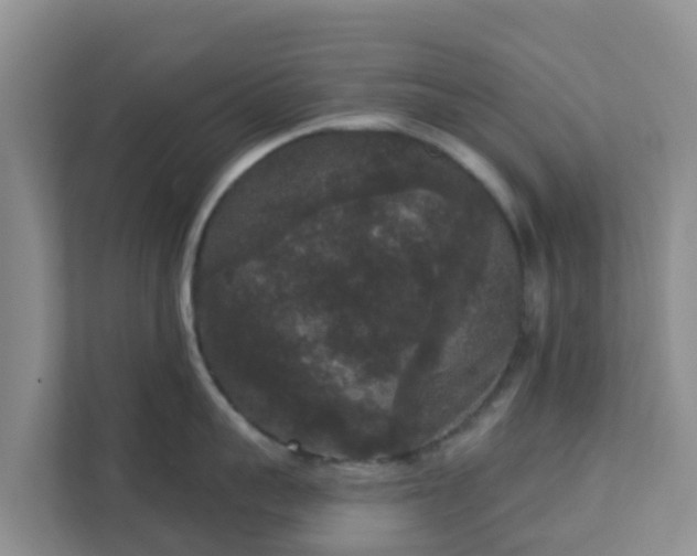 X0000111640959200907241108