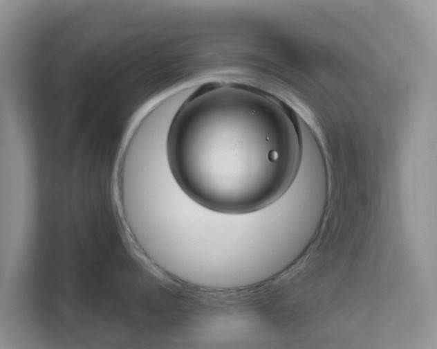 X0000111640960200907241108