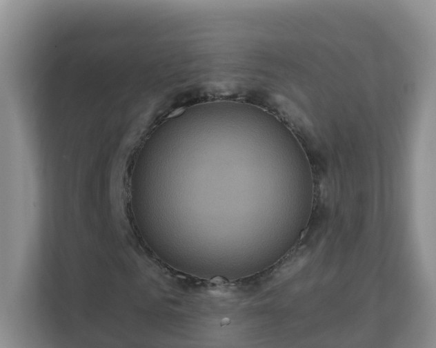 X0000111640961200907241108