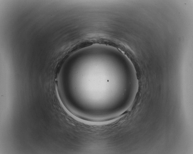 X0000111640965200907241107