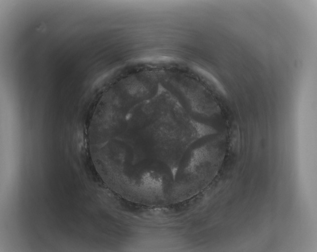 X0000111640966200907241107