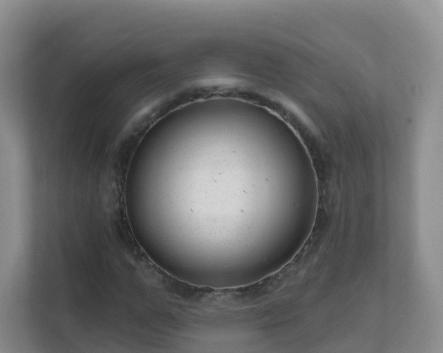 X0000111640967200907241107