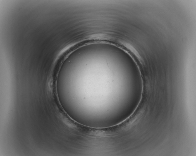 X0000111640971200907241107