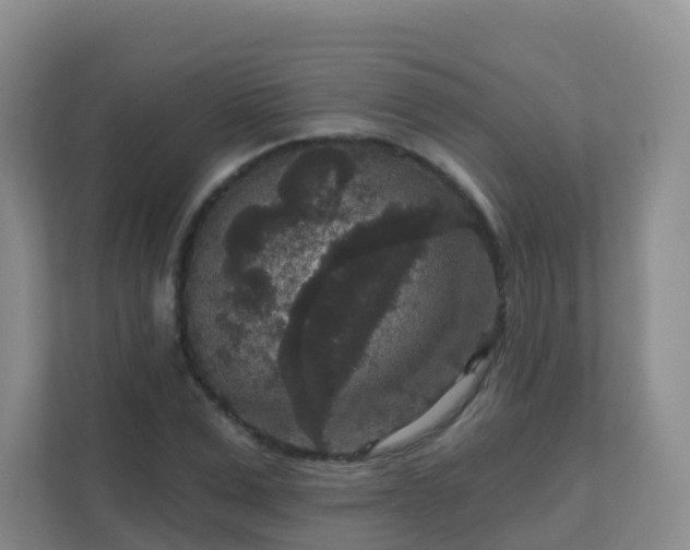 X0000111640975200907241107