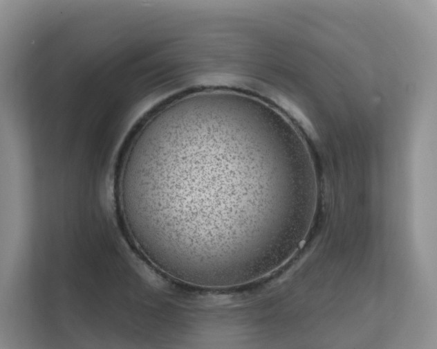 X0000111640976200907241107