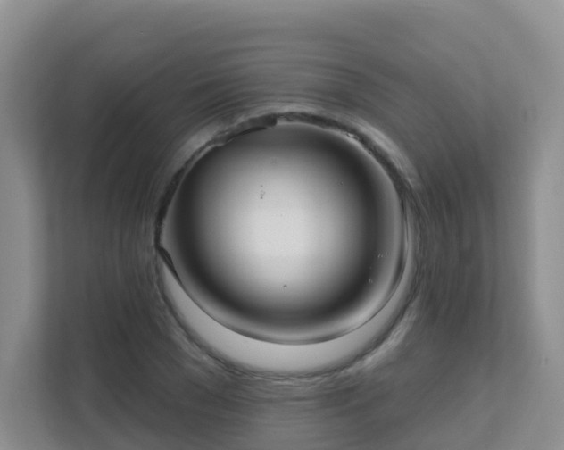 X0000111640977200907241107