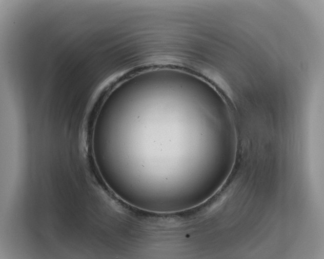 X0000111640979200907241107